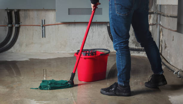 Water damage restoration process in Pine Island, MN