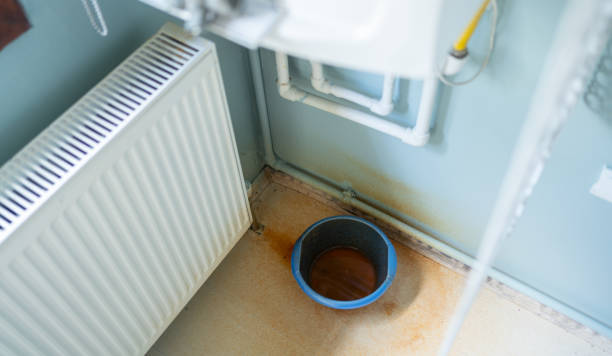 Best Water damage contractors near me  in Pine Island, MN