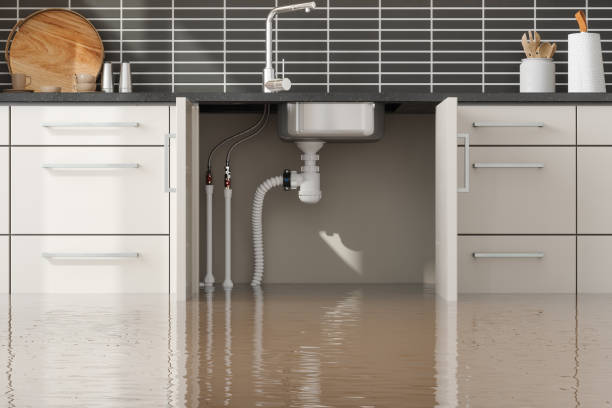 Sewage cleanup and water damage restoration in Pine Island, MN
