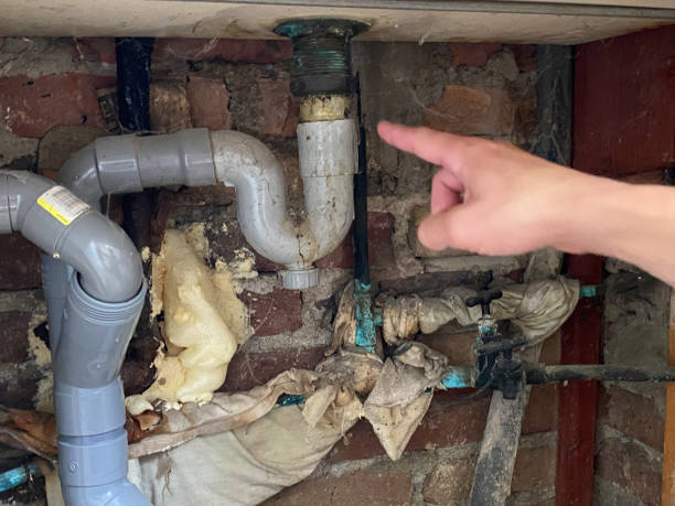 Best Emergency water damage restoration  in Pine Island, MN