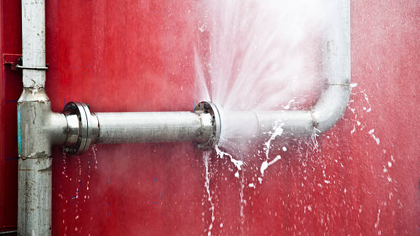 Pine Island, MN Water damage restoration Company